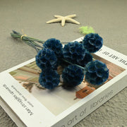 Scabiosa Pods