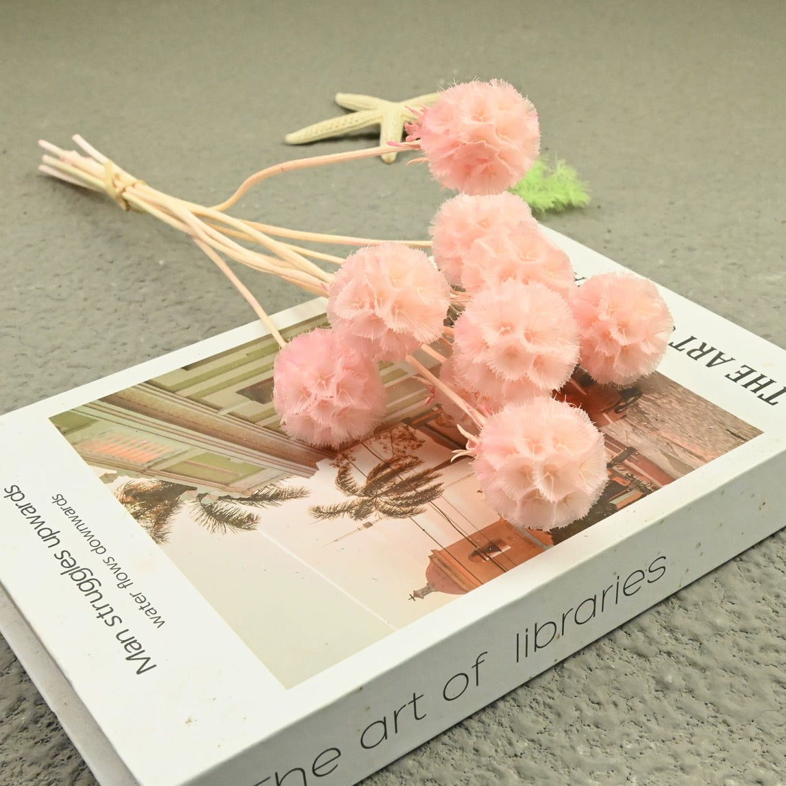 Scabiosa Pods