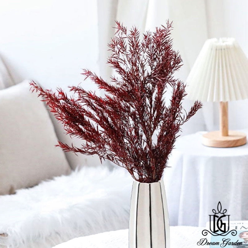 🇸🇬[SG Stock] SG Local Largest Wholesaler Preserved Melaleuca Bundle bracteata Suitable For Decoration/Wedding/DIY/Dome
