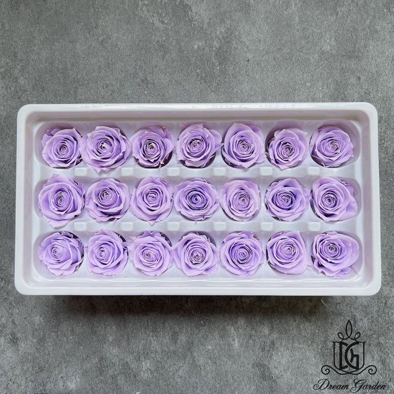 🇸🇬[SG Stock][Dream Garden]Grade A Preserved Roses 2cm-3cm Preserved Flowers Dried Flowers Home Decoration/DIY/Wedding