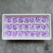 Grade A Preserved Roses 2cm-3cm | DreamGarden SG