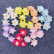 New Arrival Dried Flower Sola Flowers Wood Flower 3 | DreamGarden SG