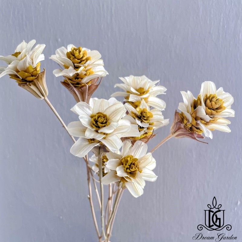 🇸🇬[SG Stock]Handmade Dried Flowers Dried Daisy Dried Sunflowers Singapore Local Wholesalers Home Decoration/DIY/Wedding