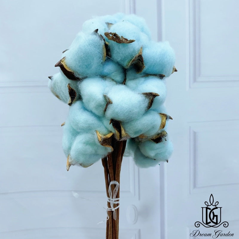 🇸🇬[SG Stock]Preserved Flowers Dried Flowers Cotton Flowers Singapore Local Wholesalers Home Decoration/DIY/Wedding