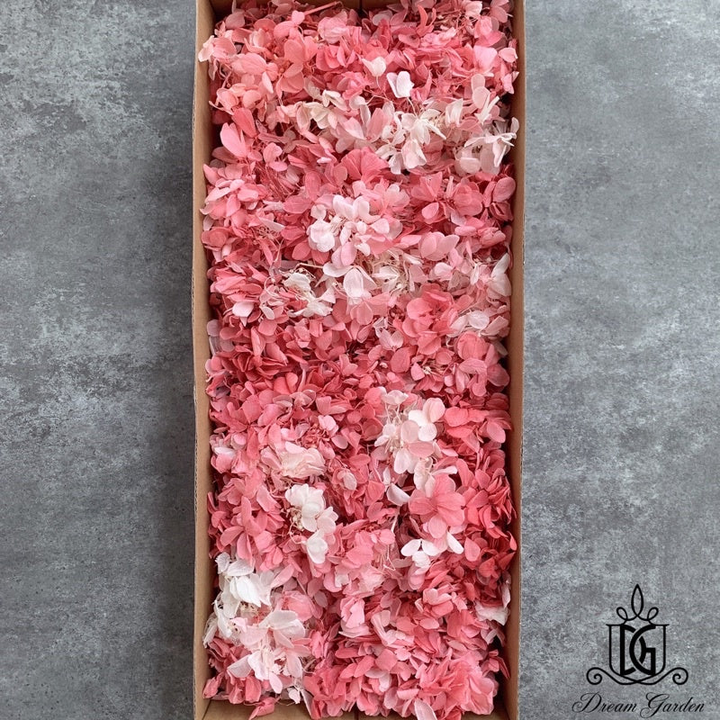 🇸🇬[SG Stock]Dream Garden Preserved Flowers Dried Flowers Grade B Preserved Hydrangea Singapore Local