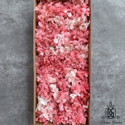 Preserved Flowers Grade B Preserved Hydrangea | DreamGarden SG