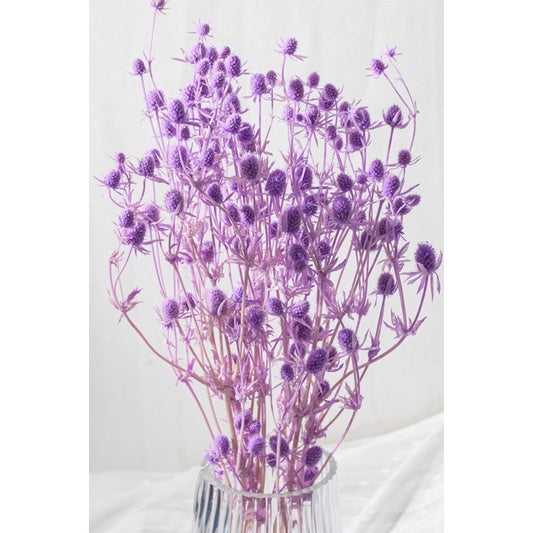 🇸🇬[SG Stock]Preserved Flowers Dried Flowers Preserved Sea Holly Singapore Local Wholesalers Home Decoration/DIY/Wedding