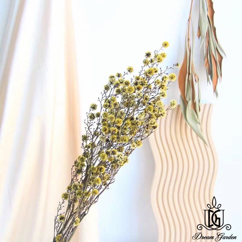 🇸🇬[SG Stock] Preserved Flower Branches For Home Decor/DIY/Wedding/Glass Cover Dome Dried Eternal Stirlingia Flowers
