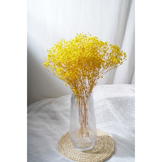 🇸🇬[SG Stock]Preserved Flowers Dried Flowers Preserved Baby Breath Singapore Local Florist/Home Decoration/DIY/Wedding