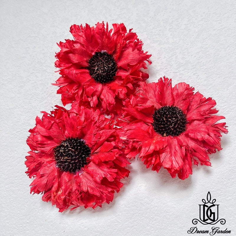 🇸🇬[SG Stock][Dream Garden]Handmade Feathered Chrysanthemum Gerbera Sunflowers Dried Flowers Home Decoration/DIY/Wedding