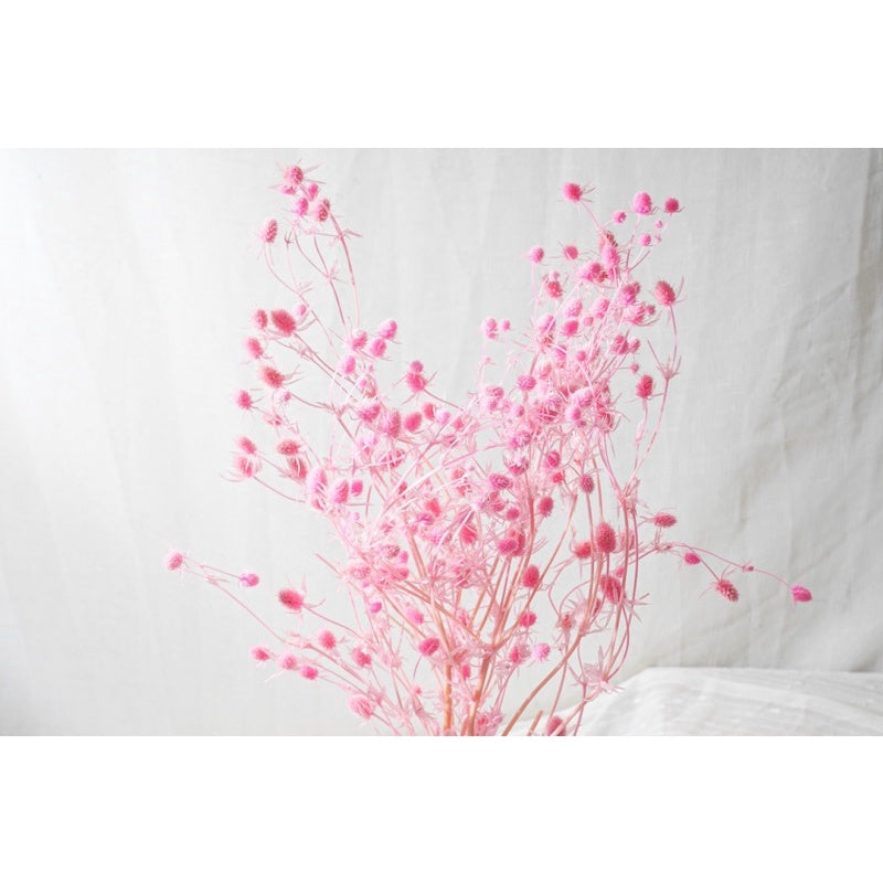 🇸🇬[SG Stock]Preserved Flowers Dried Flowers Preserved Sea Holly Singapore Local Wholesalers Home Decoration/DIY/Wedding