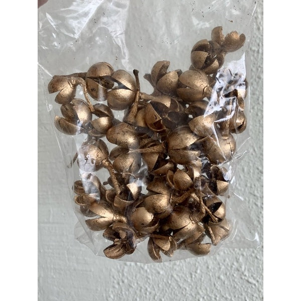 🇸🇬[SG Stock]Preserved Flowers Dried Flowers Dried Fruits Singapore Local Wholesalers Home Decoration/DIY/Wedding