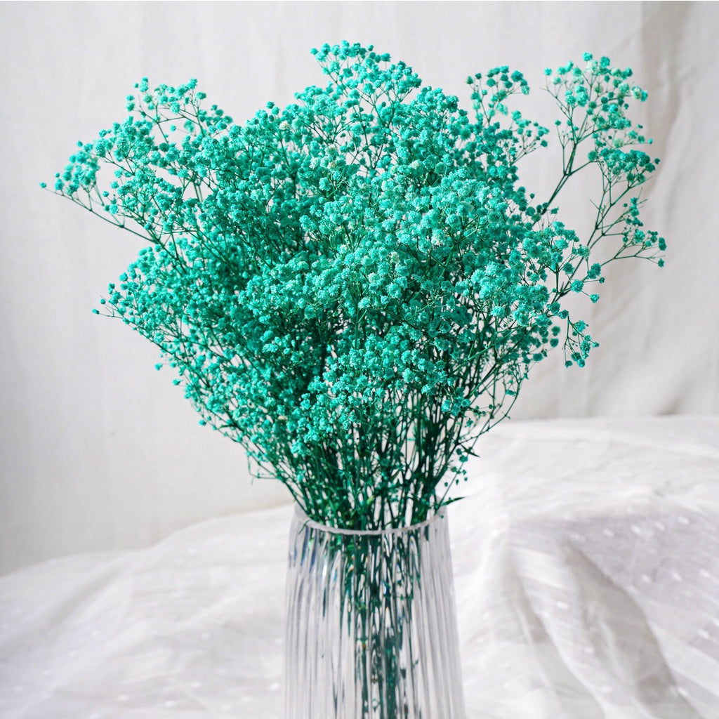 🇸🇬[SG Stock]Singapore Local Wholesaler Preserved Flowers Dried Flowers Preserved Babybreath Home Decoration/DIY/Wedding