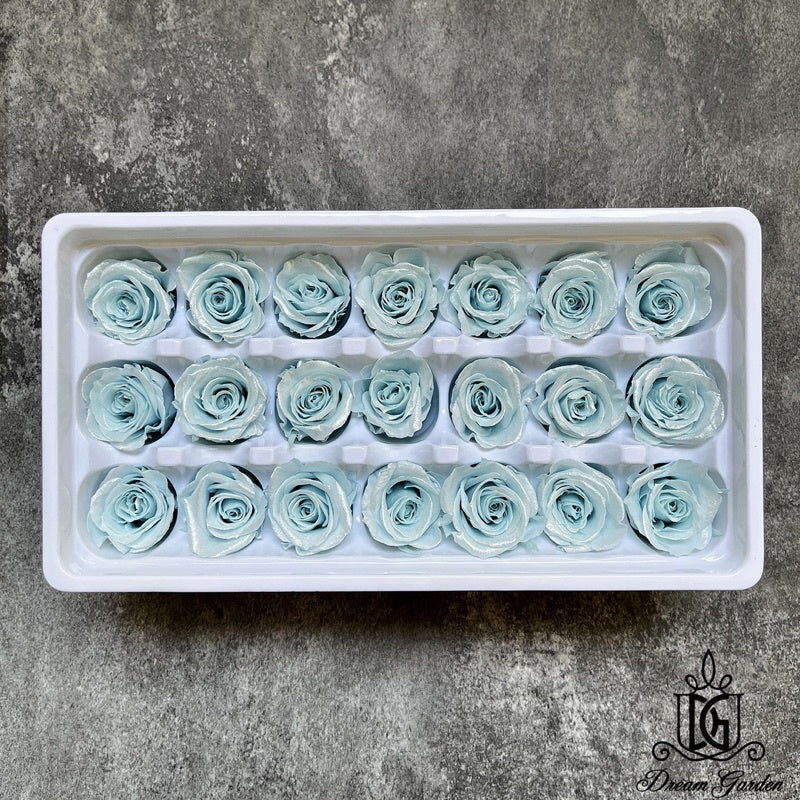 🇸🇬[SG Stock] Singapore Local Dream Garden Preserved Flowers Dried Flowers Pearl/Satin Preserved Roses Grade A 2-3cm