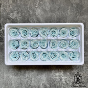 Preserved Flowers Pearl/Satin Preserved Roses Grade A | DreamGarden SG