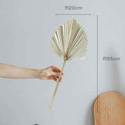 Palm Fan Leaf Dried Palm Leaf Dried Flower | DreamGarden SG