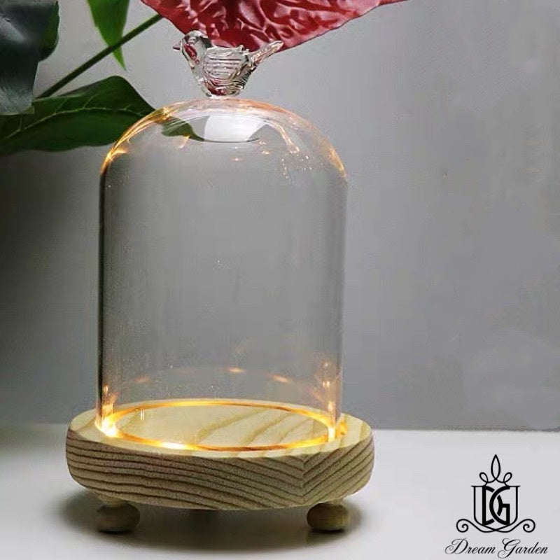 🇸🇬[SG Stock] [Dream Garden] Preserved Flower Dome Clear Glass Cloche Display Dome with LED Wooden Base High Quality