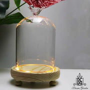 Preserved Flower Dome Clear Glass Cloche Display Dome | DreamGarden SG