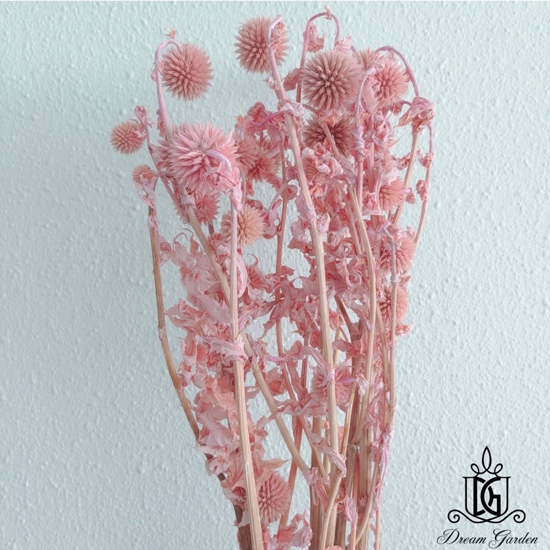 🇸🇬[SG Stock]Preserved Flowers Dried Flowers Preserved Globe Thistle Singapore Local Home Decoration/DIY/Wedding
