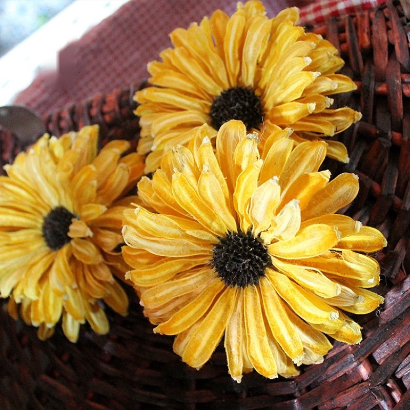 🇸🇬[SG Stock]Preserved Flowers Dried Flowers Handmade Gerbera Singapore Local Wholesalers Home Decoration/DIY/Wedding