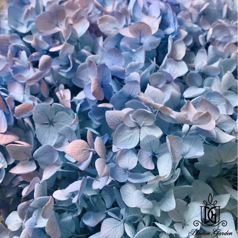 🇸🇬[SG Stock]Preserved Flowers Grade A Preserved Hydrangea Singapore Local Wholesalers Home Decoration/DIY/Wedding