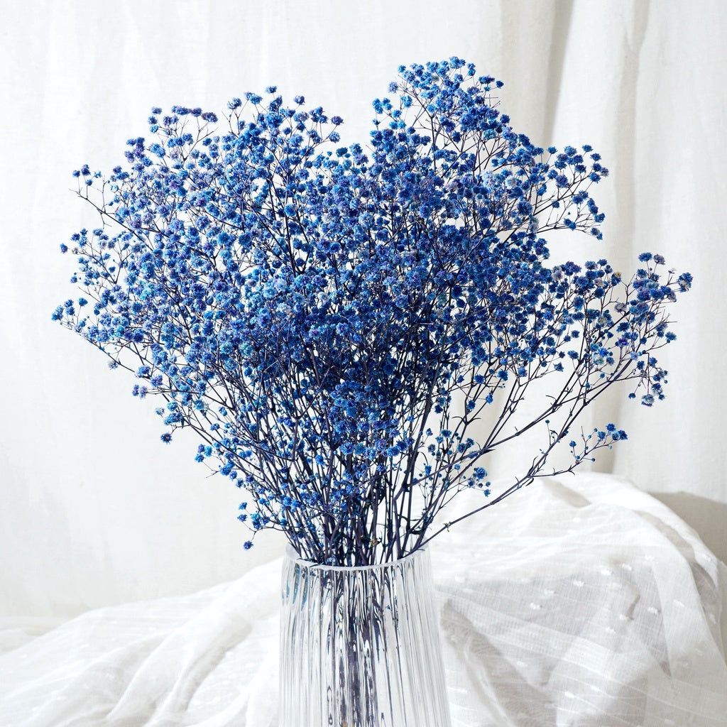 🇸🇬[SG Stock]Singapore Local Wholesaler Preserved Flowers Dried Flowers Preserved Babybreath Home Decoration/DIY/Wedding