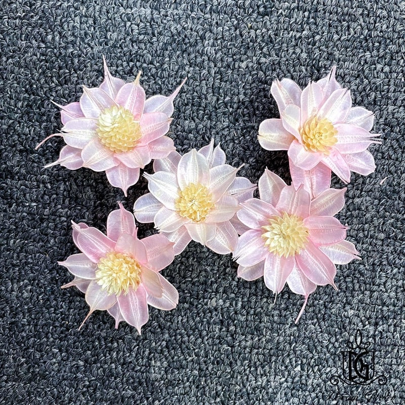 🇸🇬[SG Stock]SG Stock New Arrival Dried Flower Sola Flowers Wood Flower Handmade Flower Chrysanthemum Lotus Peony
