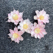 New Arrival Dried Flower Sola Flowers Wood Flower 3 | DreamGarden SG