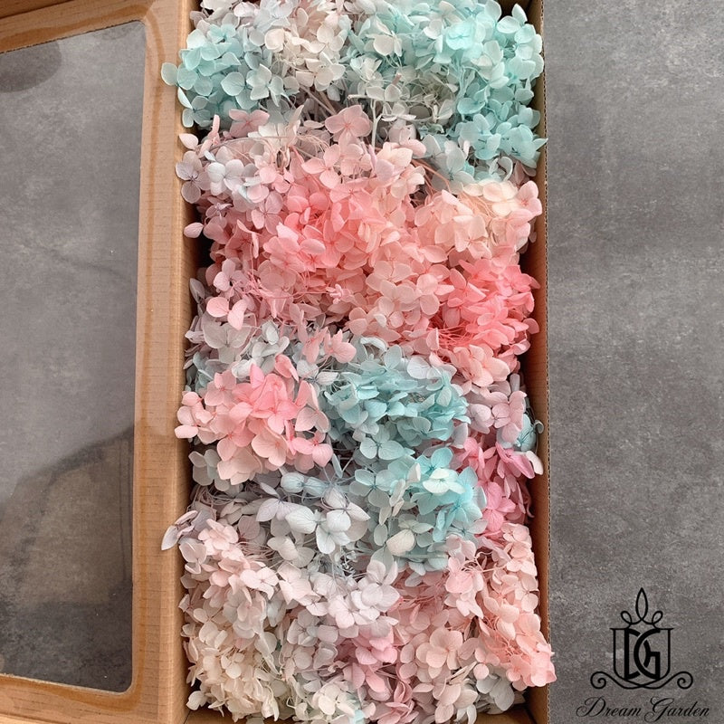 🇸🇬[SG Stock] Singapore Local Wholesale Dream Garden Grade A Preserved Hydrangeas Dried Flowers Preserved Flowers