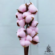 Preserved Flowers Cotton Flowers | DreamGarden SG