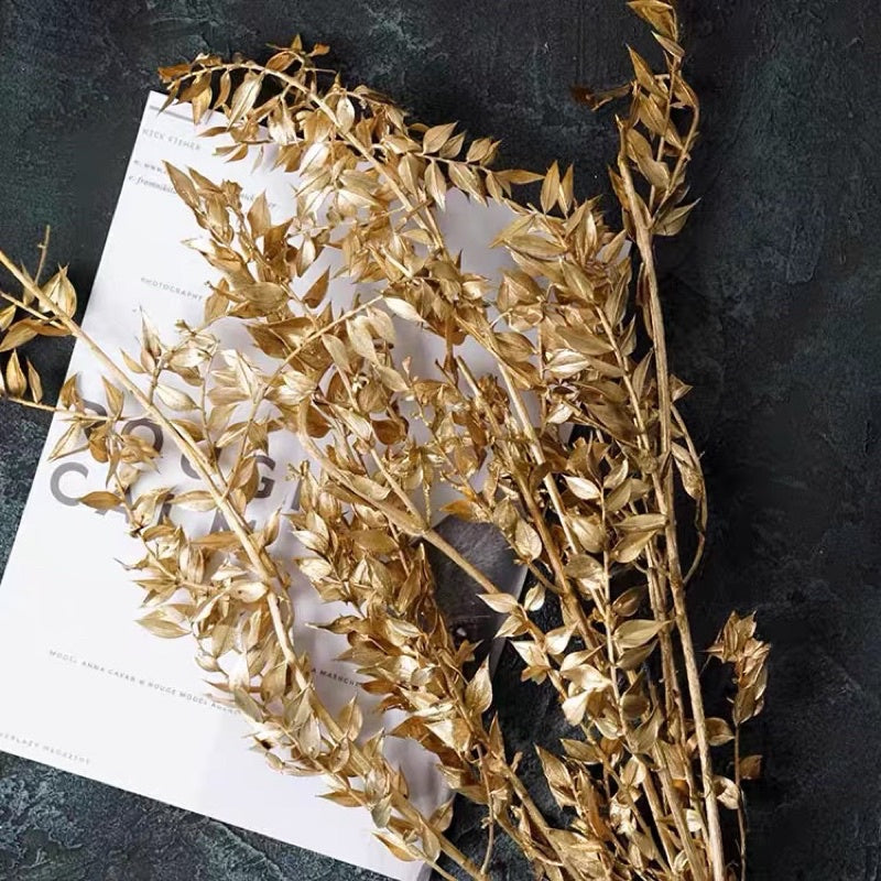 🇸🇬[SG Stock]Preserved Flowers Dried Flowers Preserved Ruscus Singapore Local Wholesaler Home Decoration/DIY/Wedding