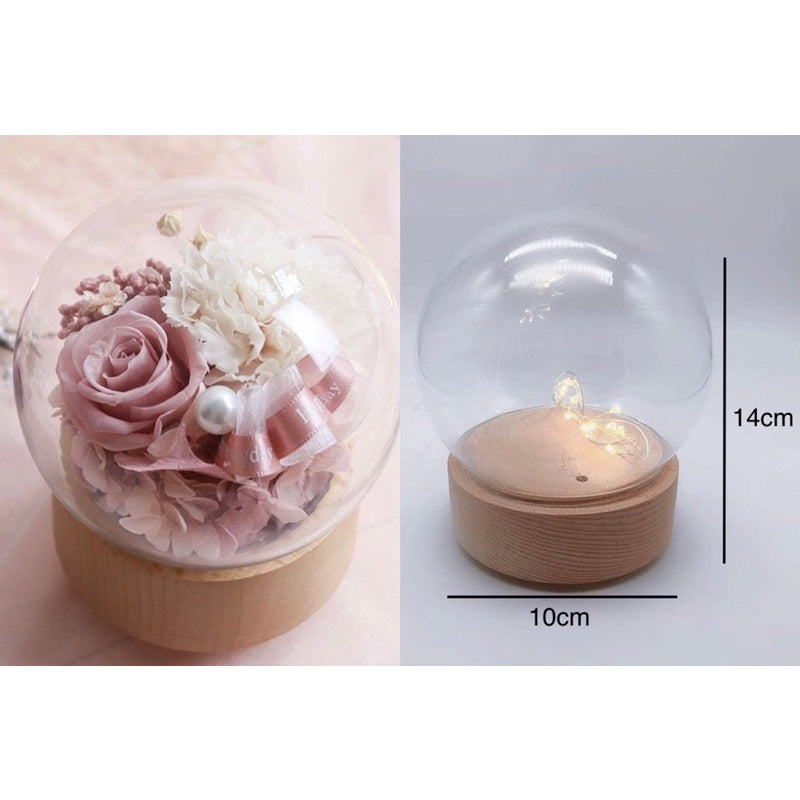 🇸🇬[SG Stock] [Dream Garden]Preserved Flower Dome Glass with Music LED Wooden Base High Quality Rotating Music Box