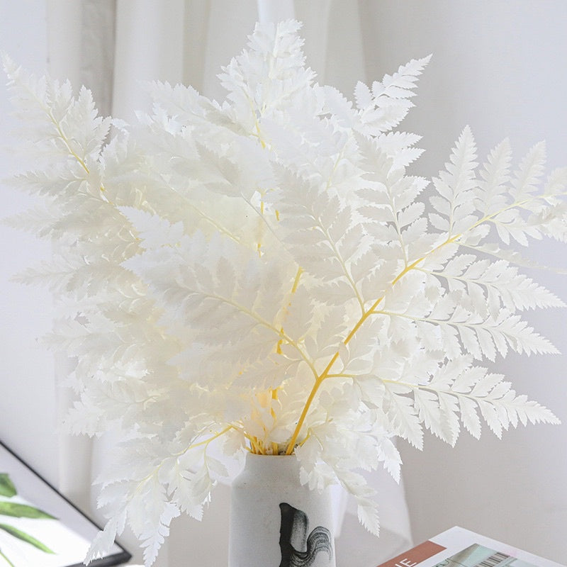 🇸🇬[SG Stock]Preserved Rainbow Fern Dried Flowers Preserved Singapore Local Wholesalers Home Decoration/DIY/Wedding