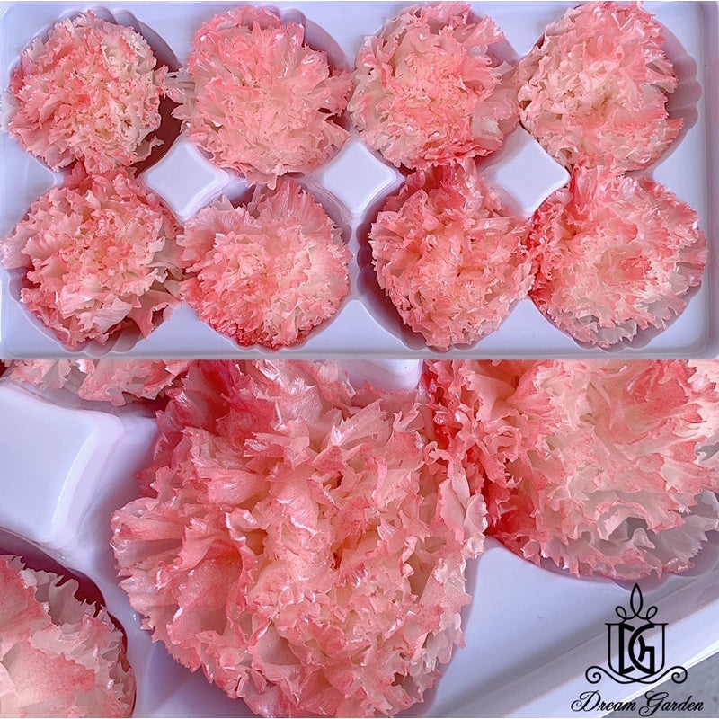 🇸🇬[SG Stock][Dream Garden] Pearl Preserved Carnations Gold Preserved Carnation Dried Flowers Home Decoration/DIY/Wedding