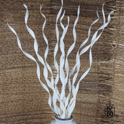Dried Palm Leaf Stripes | DreamGarden SG