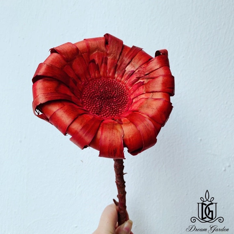 🇸🇬[SG Stock]Preserved Flowers Dried Flowers Giant Wood Chrysanthemum Singapore Local Home Decoration/DIY/Wedding