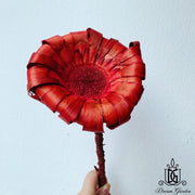 Preserved Flowers Giant Wood Chrysanthemum | DreamGarden SG