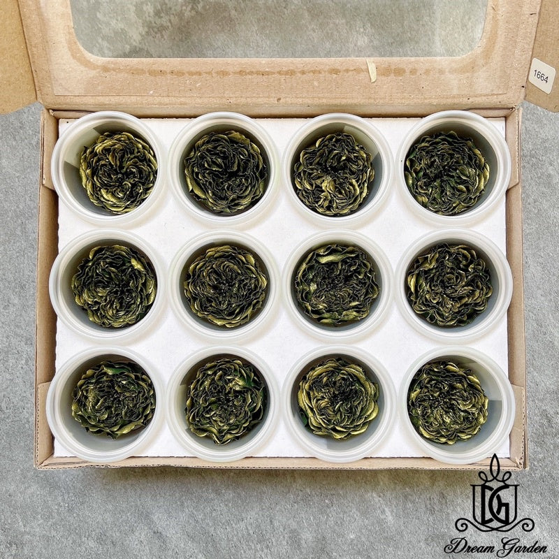 🇸🇬[SG Stock] Pearl Color RoseAmor Austin Japanese Preserved Roses Ecuador Preserved Roses Singapore Local Wholesalers