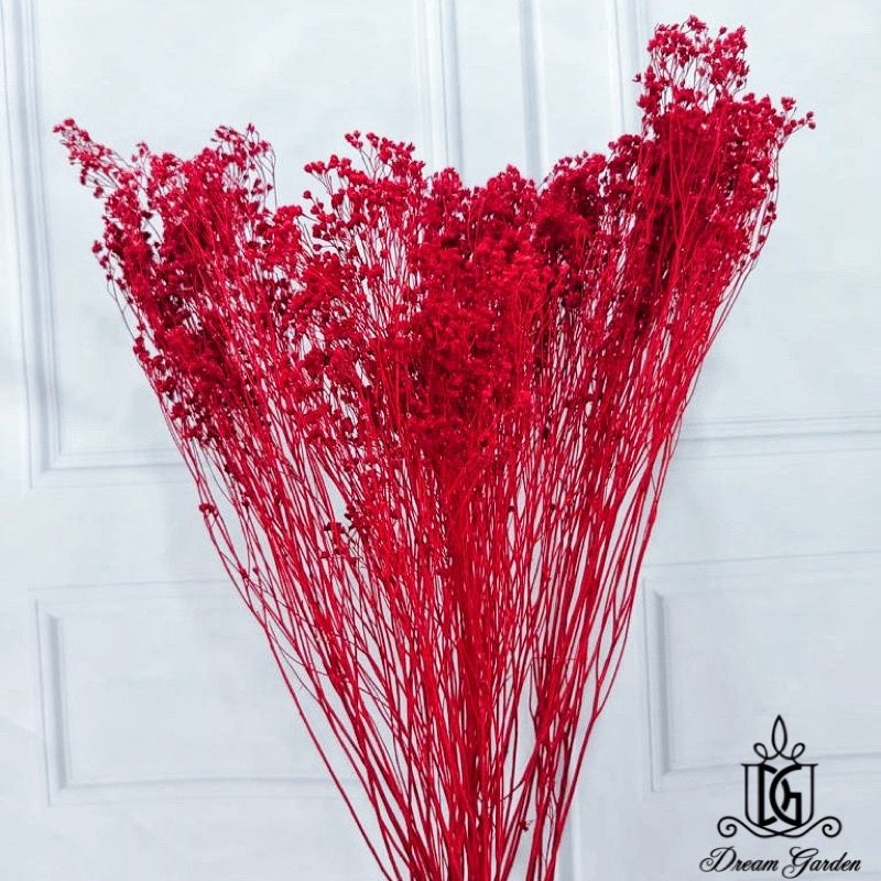 🇸🇬[SG Stock] Singapore Local Wholesalers Dried Broom Bloom Flowers Preserved Flowers Dried Flowers Babybreath