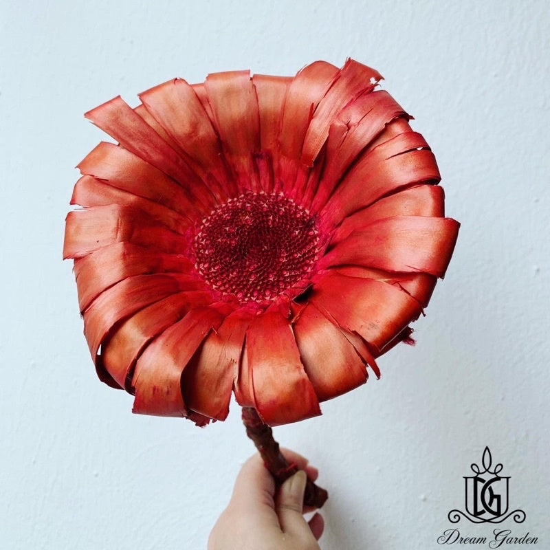 🇸🇬[SG Stock]Preserved Flowers Dried Flowers Giant Wood Chrysanthemum Singapore Local Home Decoration/DIY/Wedding