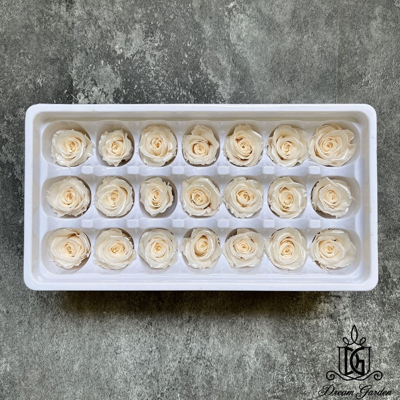🇸🇬[SG Stock] Singapore Local Dream Garden Preserved Flowers Dried Flowers Pearl/Satin Preserved Roses Grade A 2-3cm