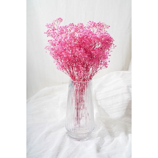 🇸🇬[SG Stock]Preserved Flowers Dried Flowers Preserved Baby Breath Singapore Local Florist/Home Decoration/DIY/Wedding