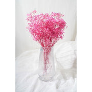 Preserved Baby Breath | DreamGarden SG