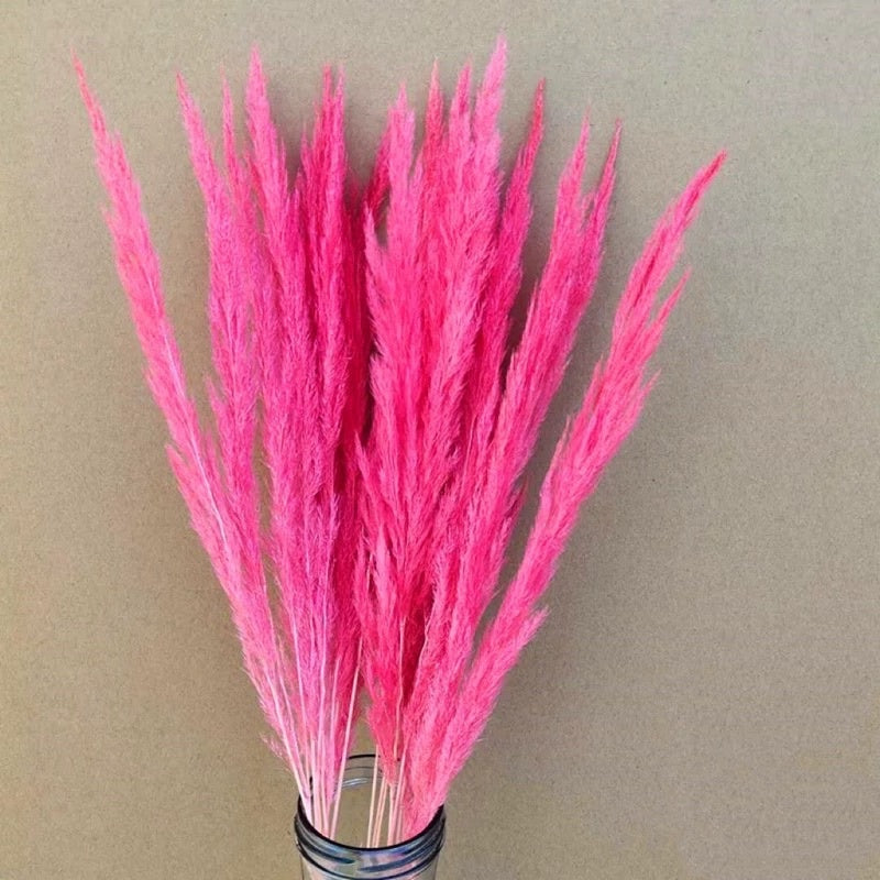🇸🇬[SG Stock]Preserved Flowers Dried Flowers Preserved Mini Pampas Singapore Local Wholesaler Home Decoration/DIY/Wedding