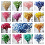 Preserved Babybreath | DreamGarden SG