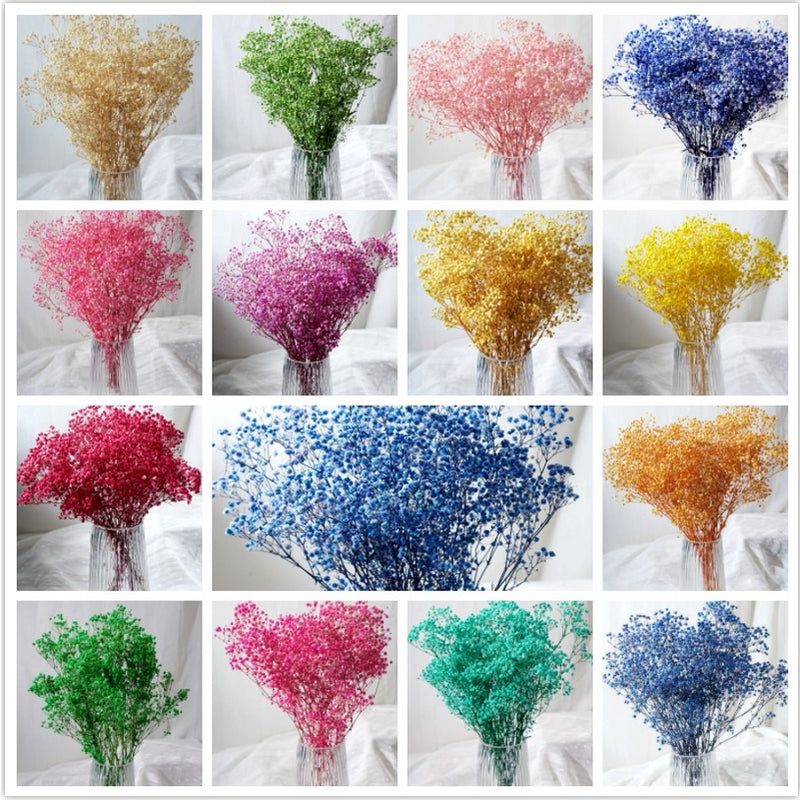 🇸🇬[SG Stock]Singapore Local Wholesaler Preserved Flowers Dried Flowers Preserved Babybreath Home Decoration/DIY/Wedding