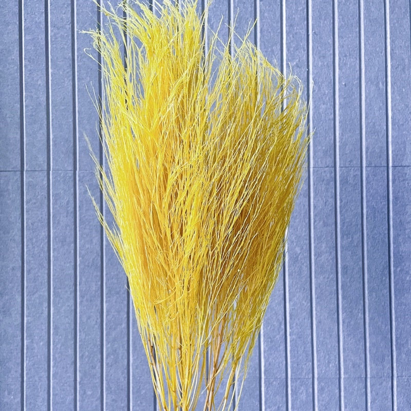 🇸🇬[SG Stock] Preserved Feather Grass For Christmas Home Decor/DIY/Wedding/Glass Cover Dome Dried Eternal Flowers