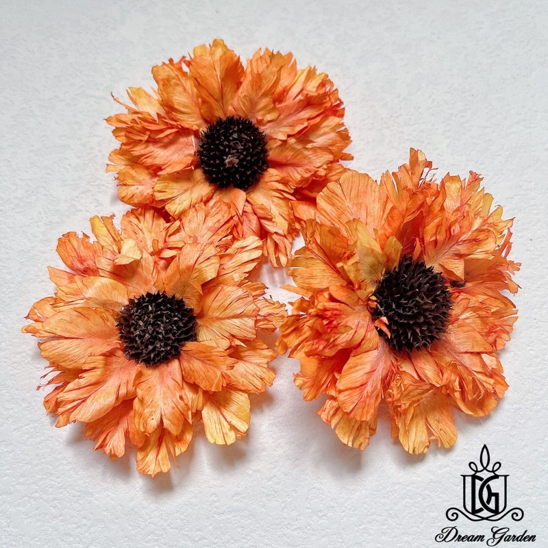 🇸🇬[SG Stock][Dream Garden]Handmade Feathered Chrysanthemum Gerbera Sunflowers Dried Flowers Home Decoration/DIY/Wedding