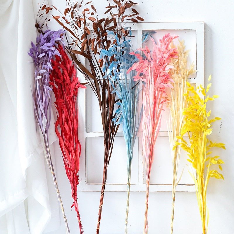 🇸🇬[SG Stock]Preserved Flowers Dried Flower Preserved Chasmanthium Latifolium Northern Sea Oats Spangle Grass Spike Grass