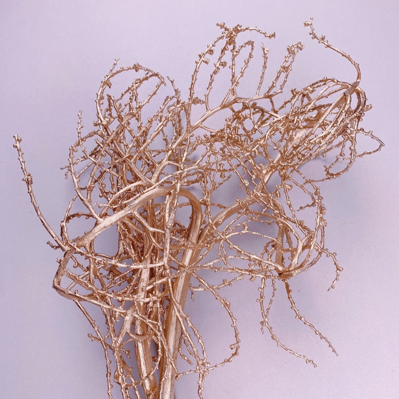 🇸🇬[SG Stock]Preserved Flowers Dried Flowers Gold Tree Branches Singapore Local Wholesaler Home Decoration/DIY/Wedding
